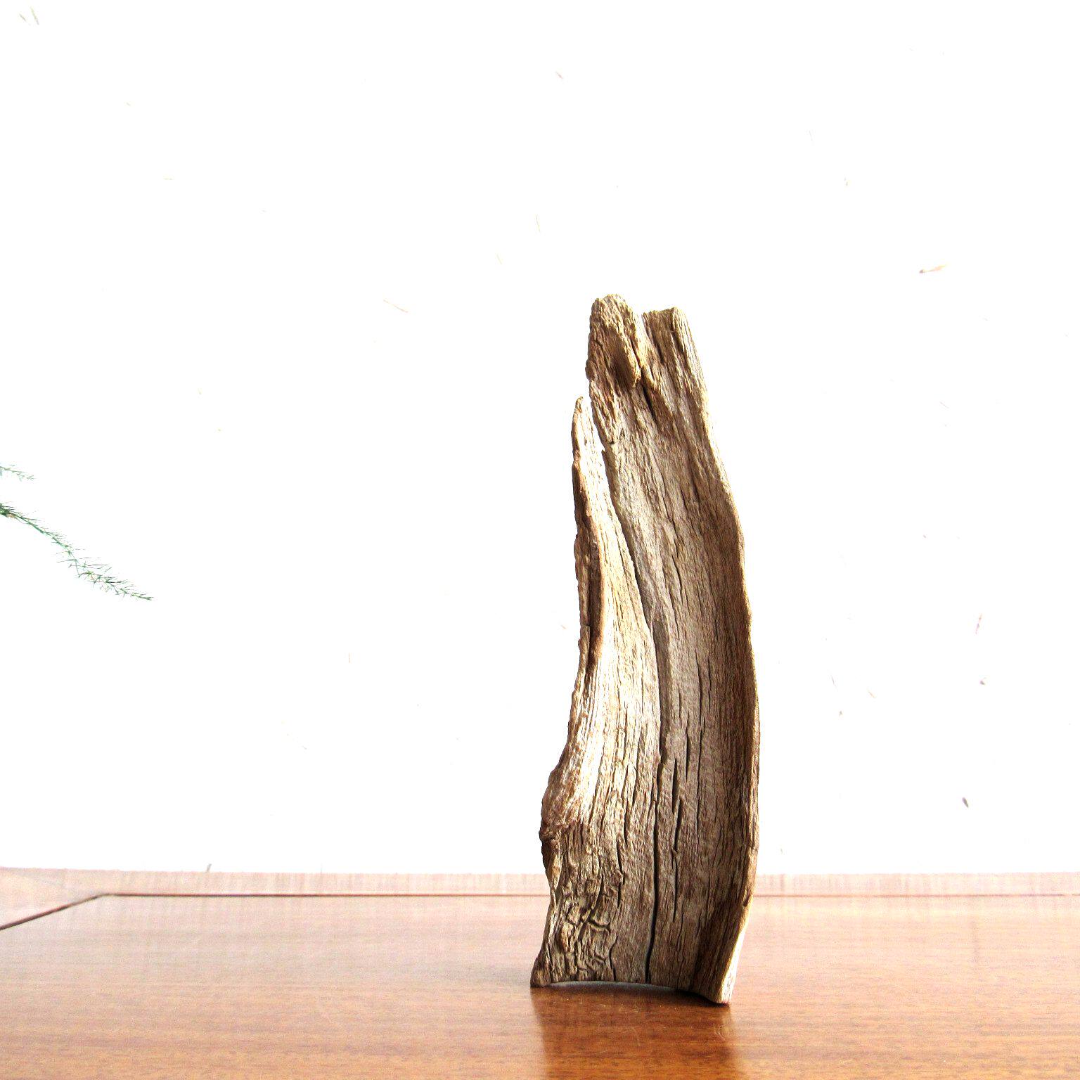千年胡杨风化枯木原木整体随形摆件自然禅意摆件