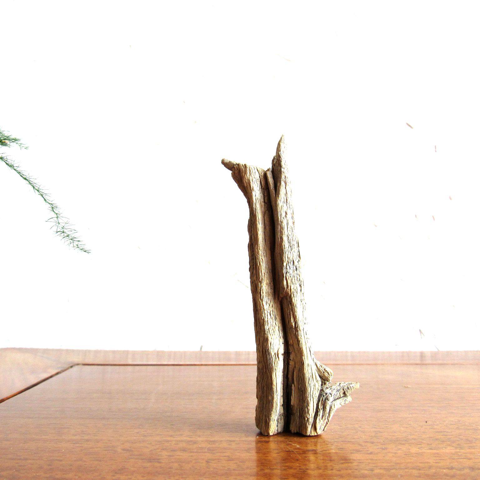 千年胡杨风化枯木朽木原木随形摆件自然生态禅意摆件