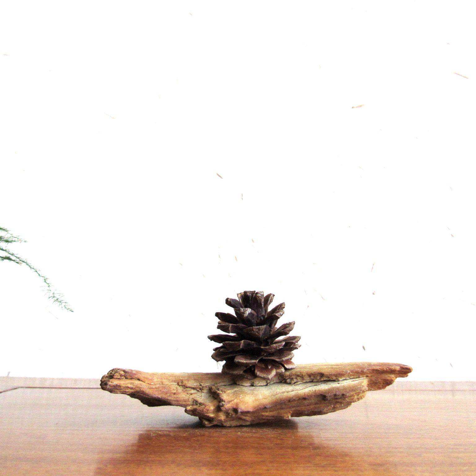 千年胡杨风化枯木原木整体随形摆件自然原生态摆件