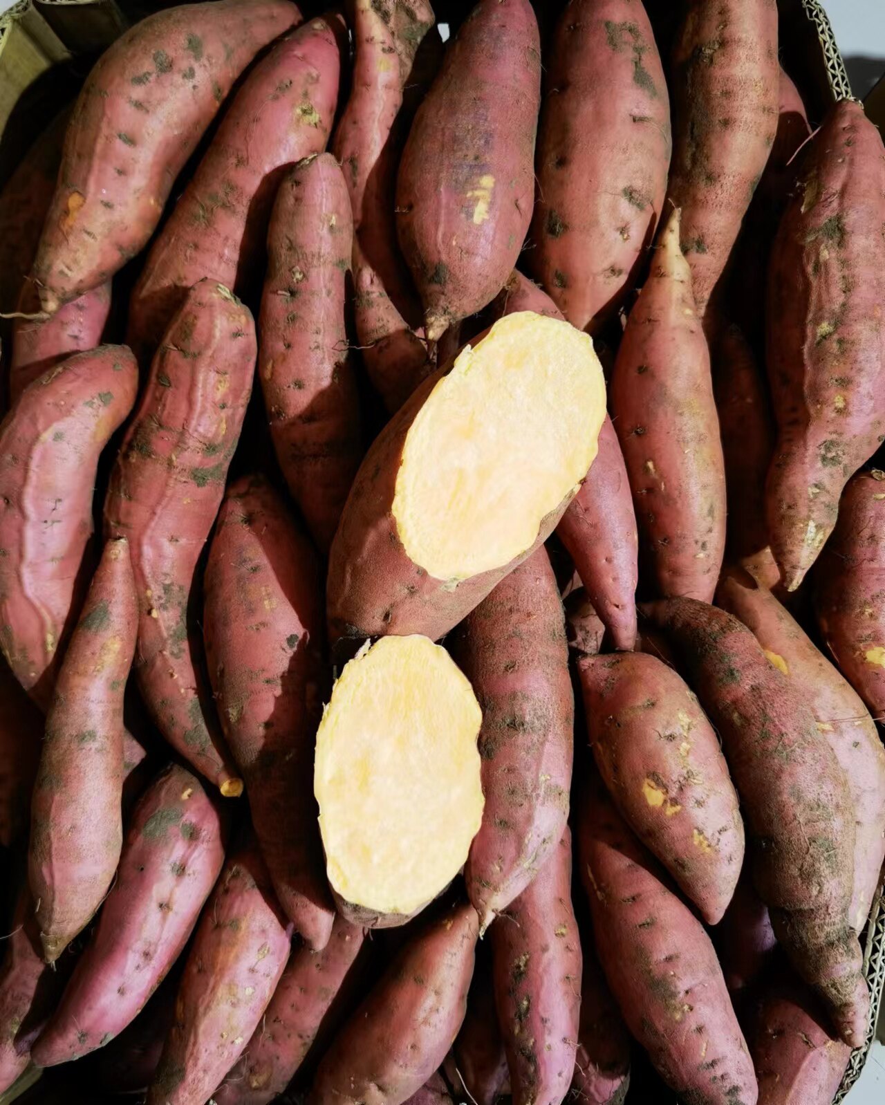 地瓜东北付家黄瓤数量不多抢完为止小红红薯番薯