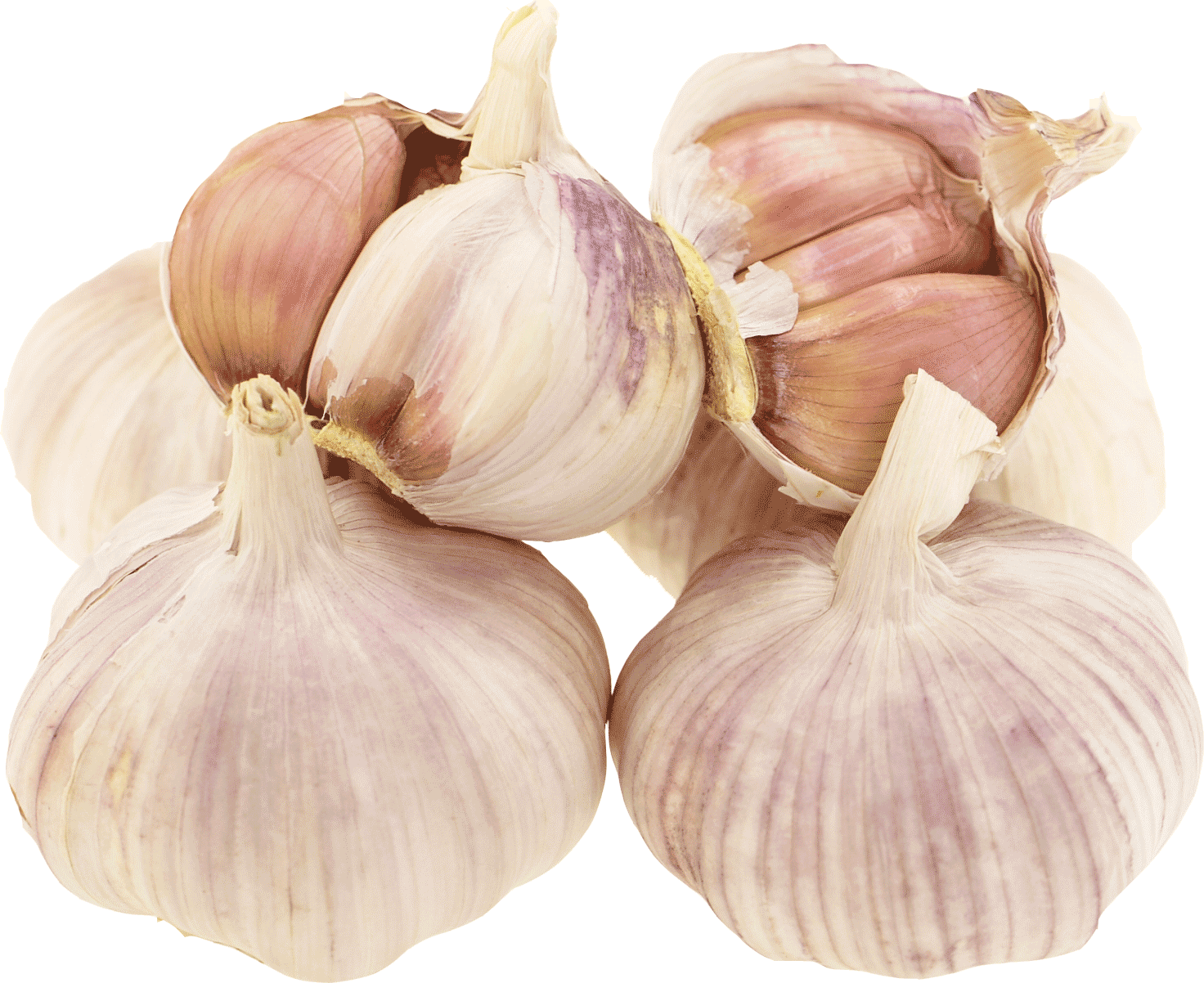 密之蔬菜不大个头不长味浓腊八新鲜蓝天大蒜大蒜