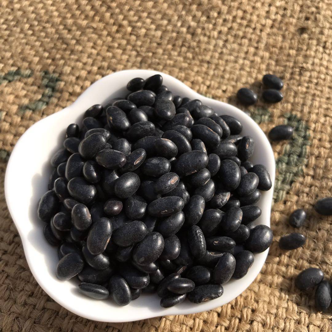 黑豆小豆新品小黑豆品种山坡种植250g豆浆黑豆