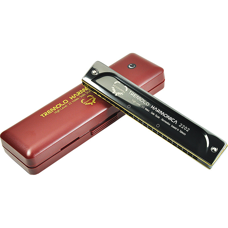 台湾韦笙堡22孔复音口琴初学者入门成人自学专业口琴