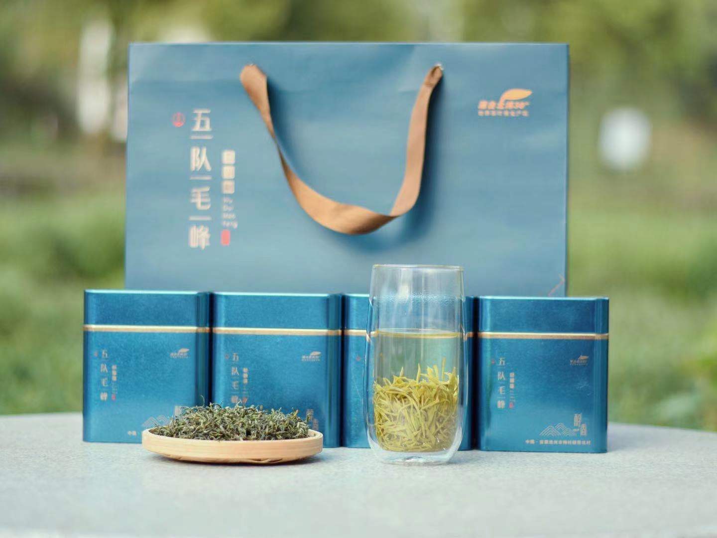 2022新茶安徽绿茶池州特产霄坑茶叶野生高山其它绿茶