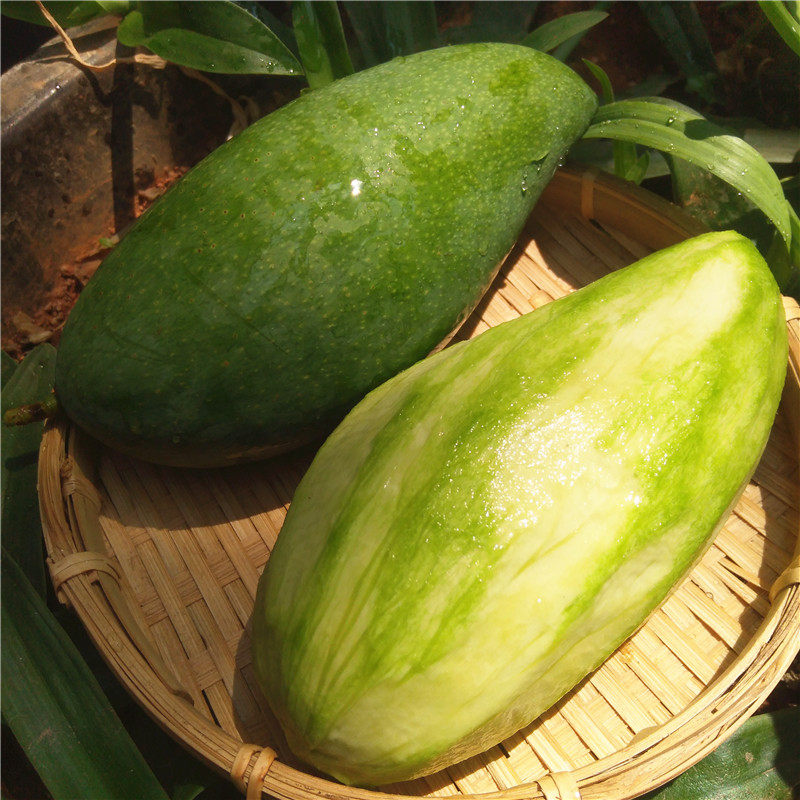 版纳云南泰国青芒果生熟两吃甜心酸新鲜金煌芒胜芒果