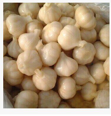 鸡西糖蒜一斤真空塑封东北农家特产手工腌制腌制