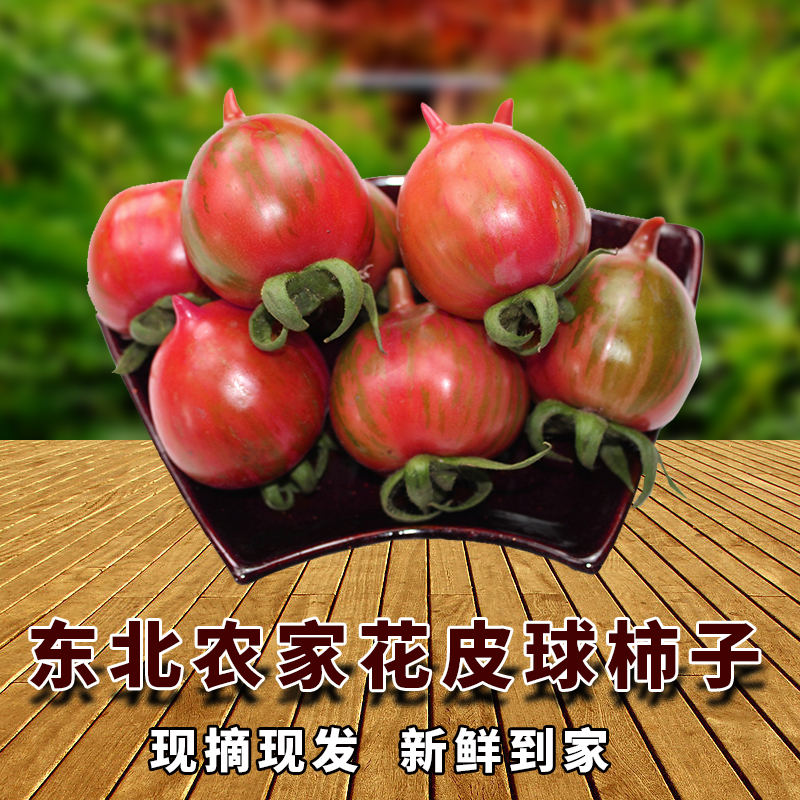 东北皮球柿子农家小园柿子花皮球柿子小番茄一份4斤包邮破损包赔