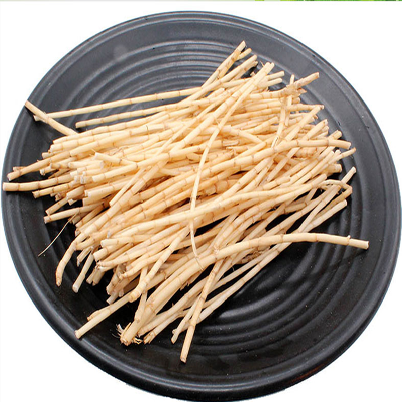 大山特产新鲜 白茅根野生茅草根 毛草根 丝毛草根 中草药白茅草根