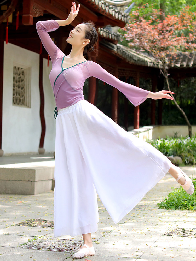 舞蹈古典服女练功中国舞韵艺纱衣现代民族演出服古典舞服