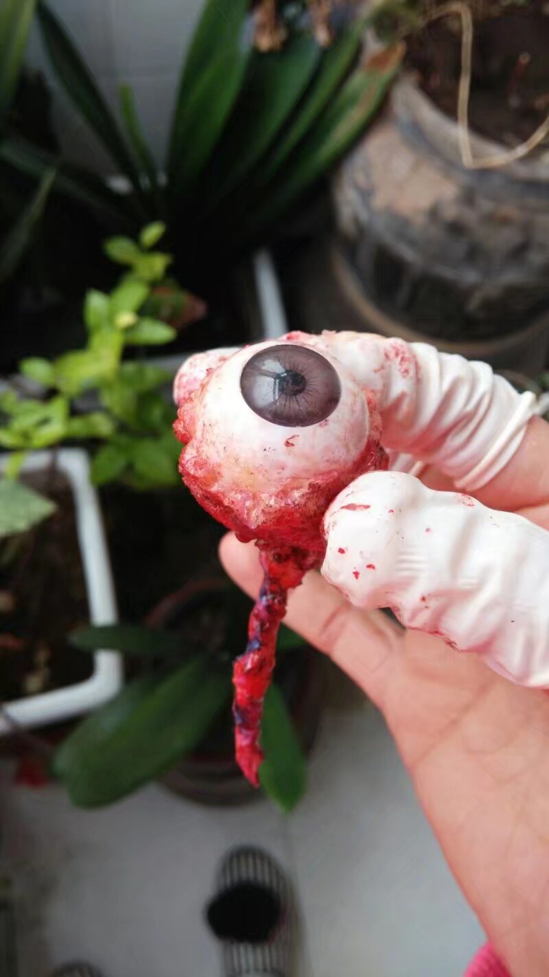 特效化妆材料假眼眼睛眼球逼真道具丧尸化妆