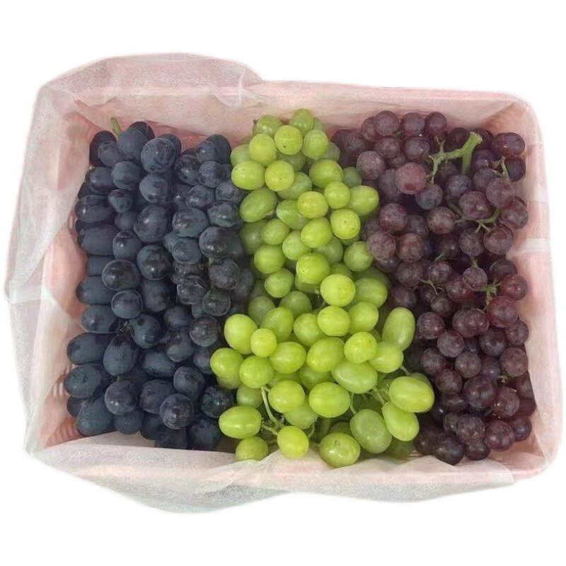 葡萄三色新疆吐鲁番无籽提子新鲜水果中秋礼盒葡萄