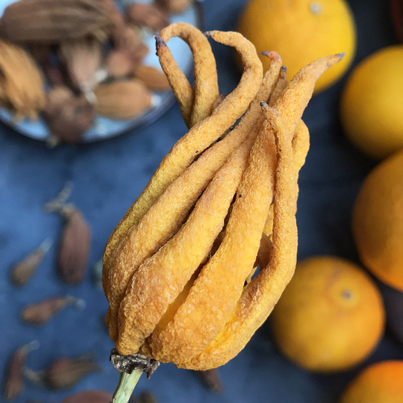 佛手干果金华风干金佛手文玩清供摆件茶道香道摆件