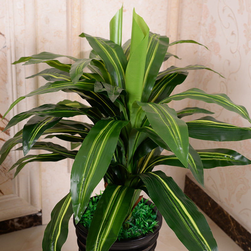 假树85cm巴西西木仿真植物绿植盆栽盆景客厅仿真植物盆景