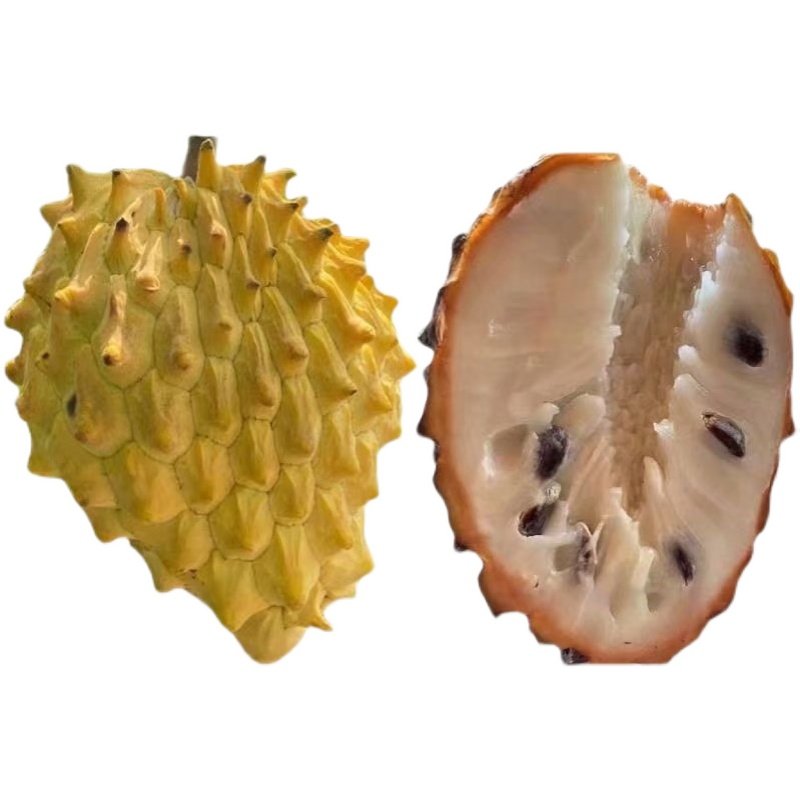 释迦果苗新品种果树大黄黄龙凤梨当年结果南方果树