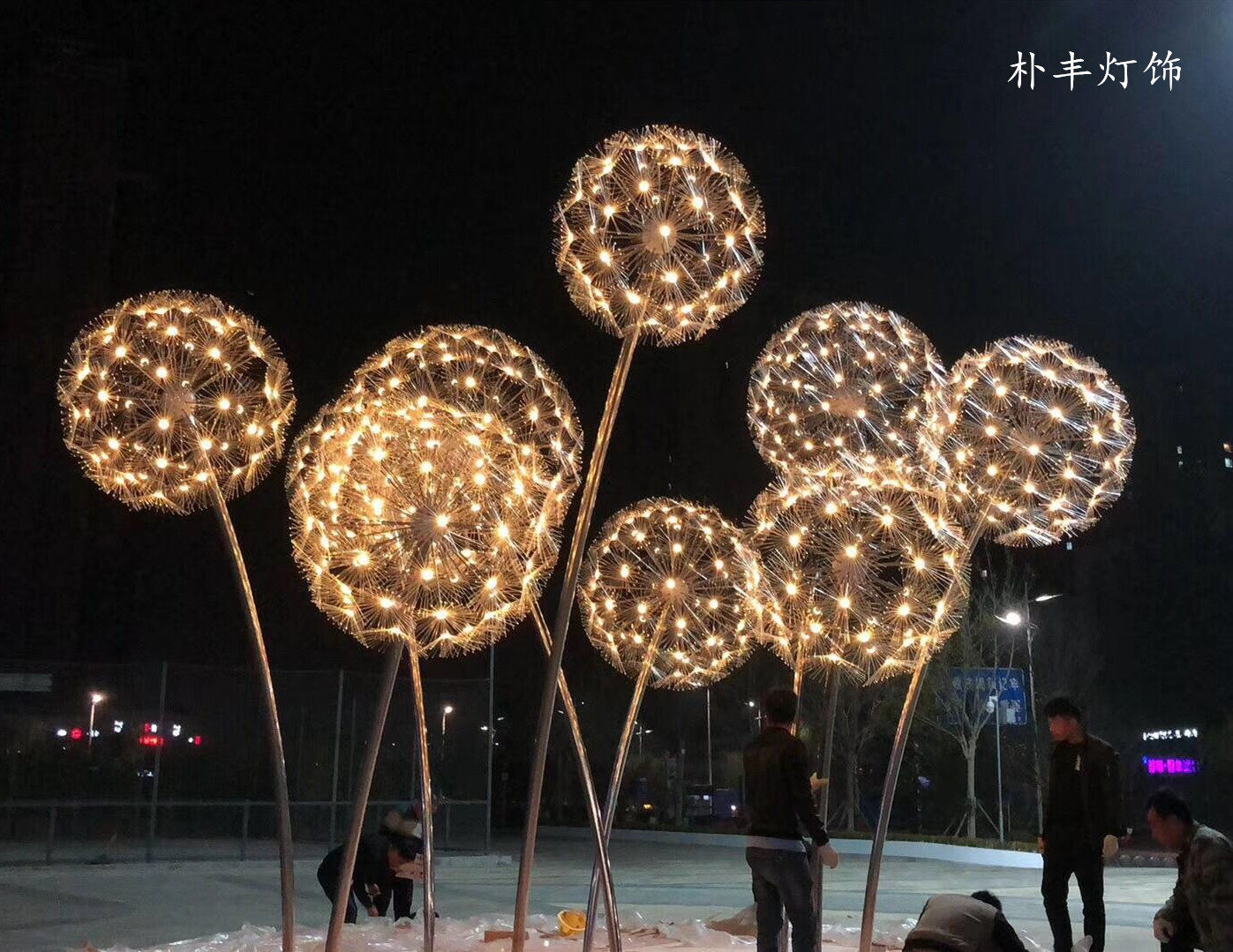 led仿真蒲公英户外防水光纤芦苇园林亮化工程景观庭院灯饰