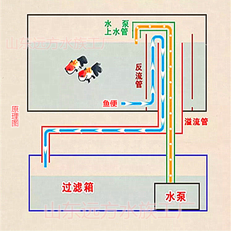 四重管件下水管下水过滤马桶鱼缸排水配件溢流过滤设备