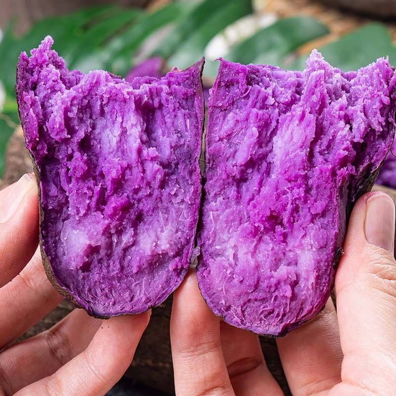 辰颐物语紫淮山山药5斤装新鲜山药