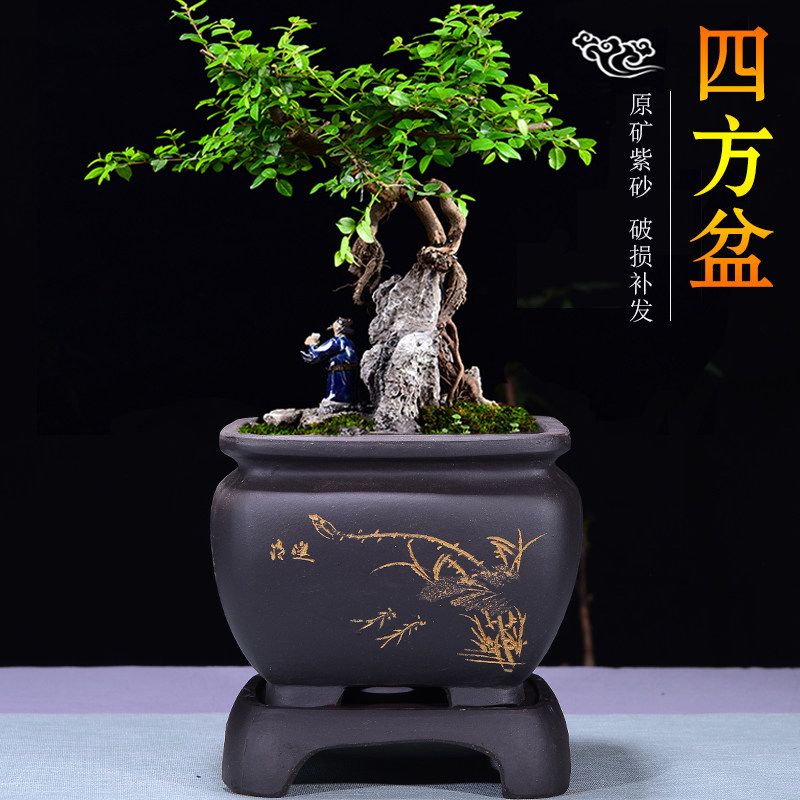 花盆手工精品四方六方菖蒲兰花盆景盆多肉盆花盆
