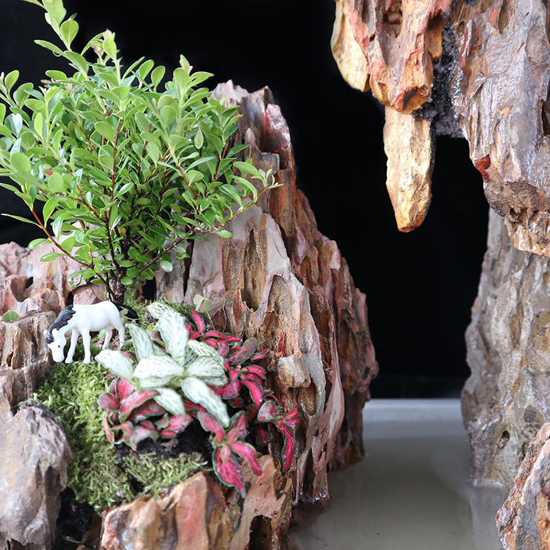 景石造景鱼缸天然原石松皮石假山小块切底多孔造景