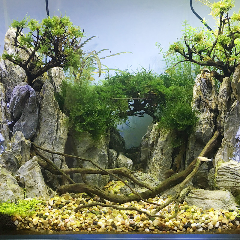 造景石头30cm鱼缸套餐冲洗切底多孔松皮石水族箱造景