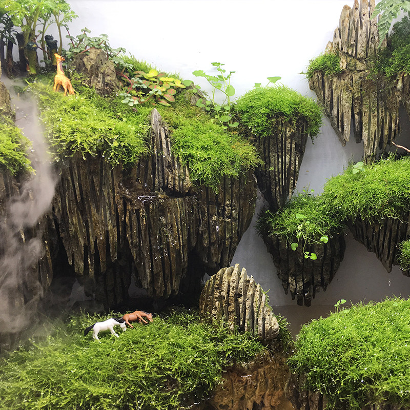 30cm鱼缸造景石头套餐免冲洗切底多孔松皮石水族箱造景石造型石头