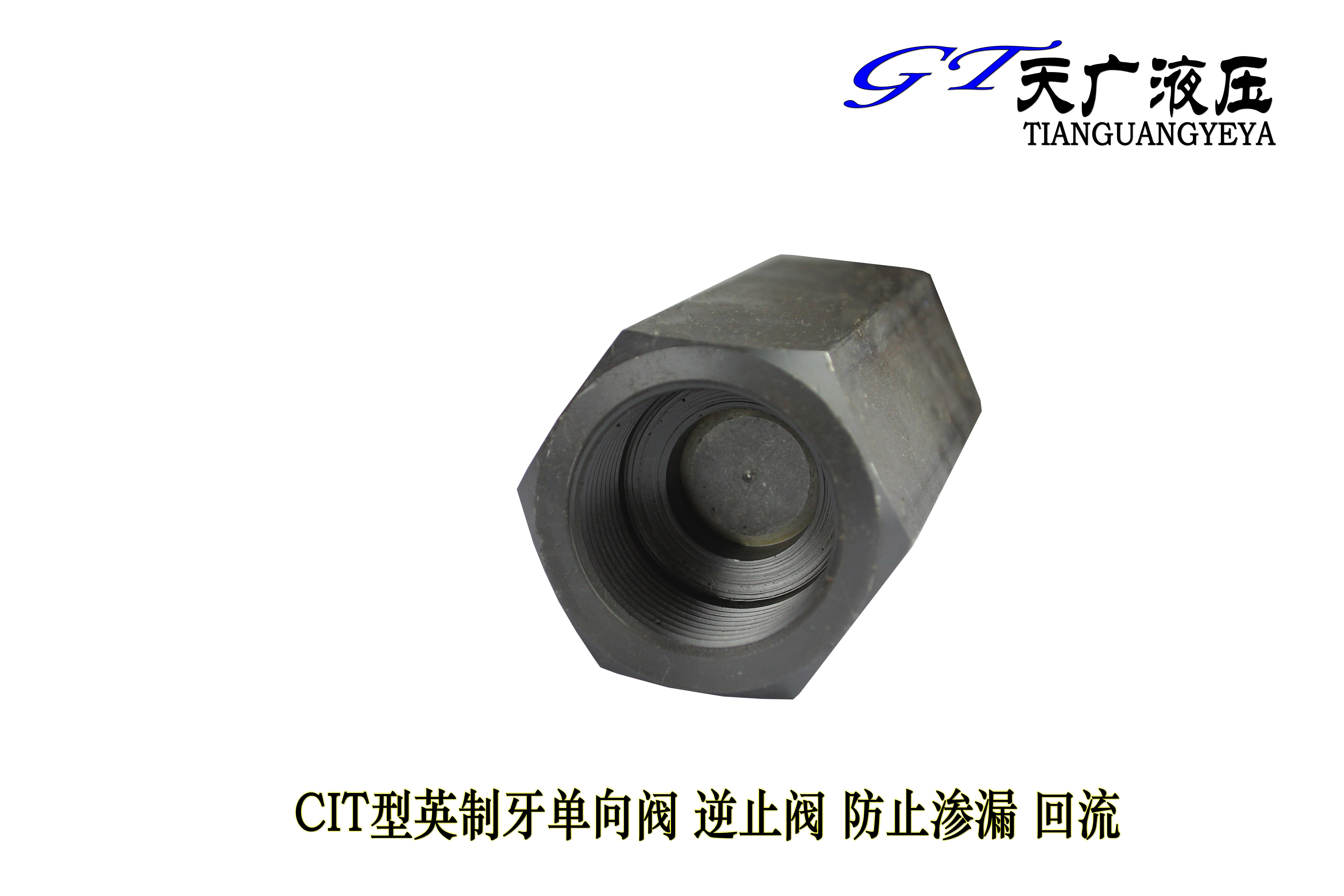 液压管式单向阀止回阀截止阀cit02英制止回阀