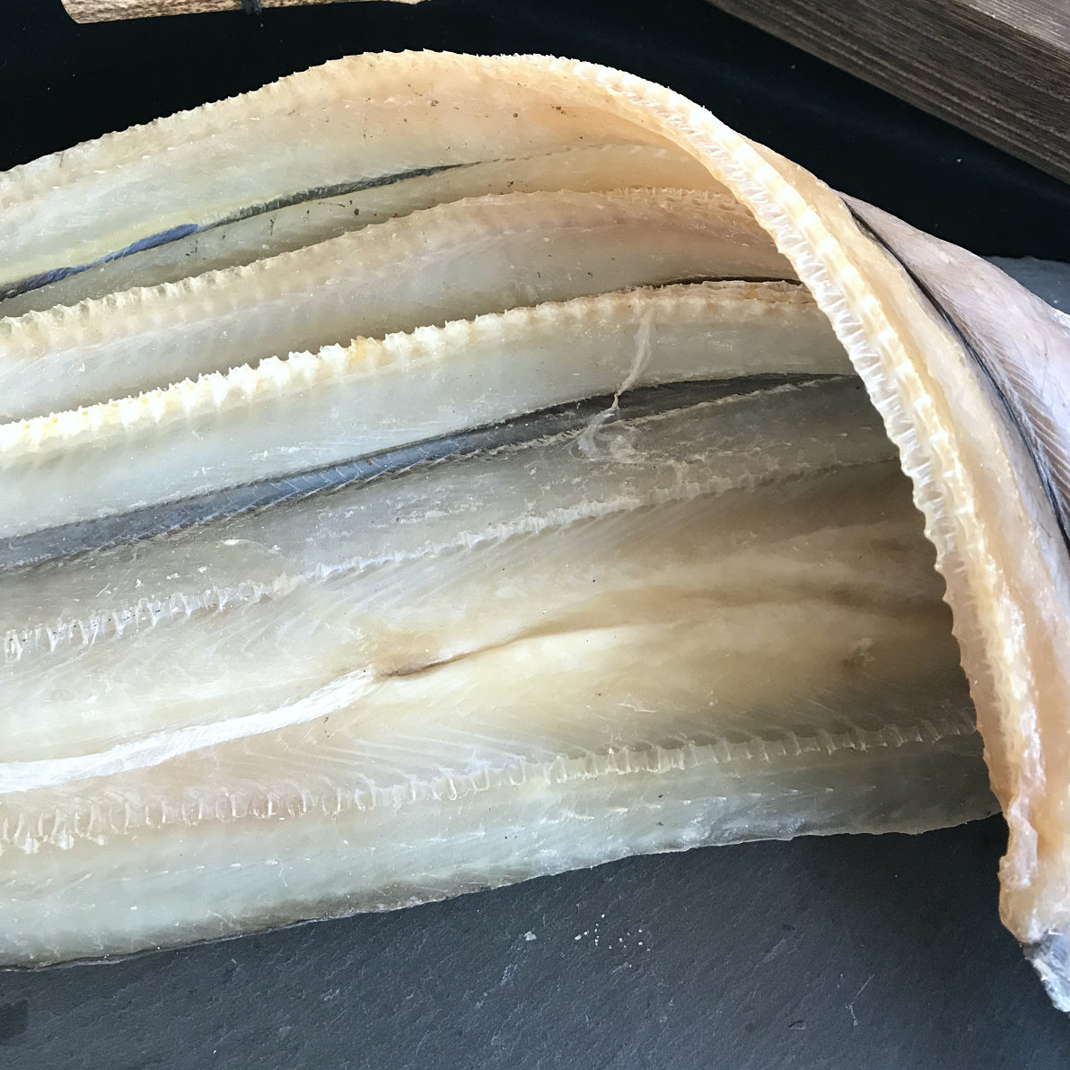 鳗鱼新晒500克新鲜风干鱼干海鳗海鲜水产干货鱼干