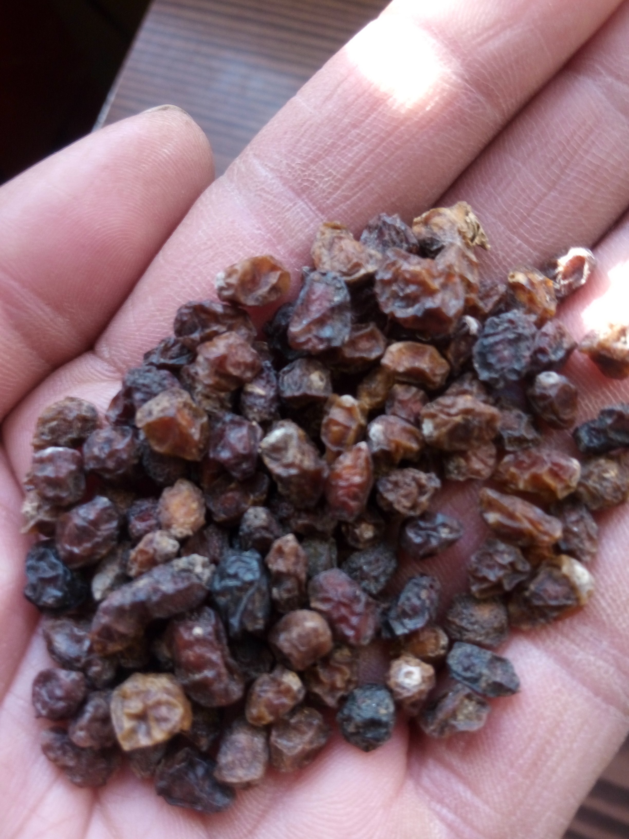 天然野生白刺果酸刺冲茶沙棘酸胖果沙刺果干拍沙棘