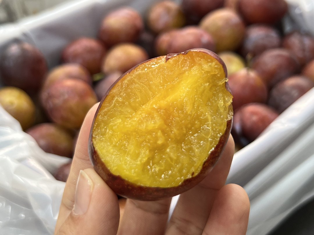 澳洲空运精品西梅新鲜当季孕妇水果进口李子李子