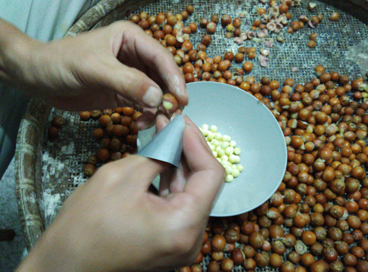 新货苏州南塘芡实健康现剥新鲜鸡头米仁400克芡实