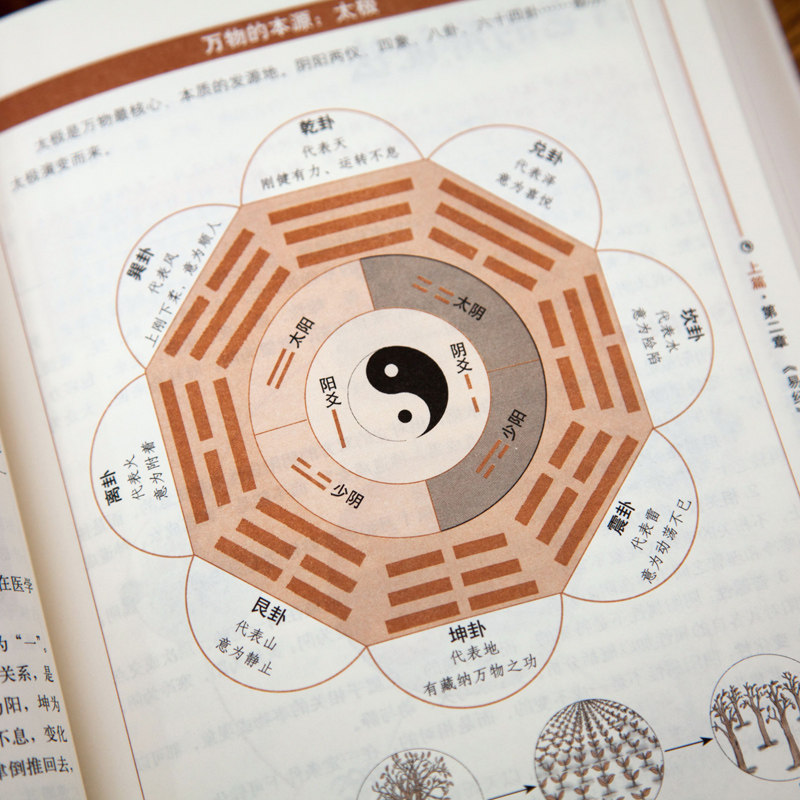 易经读懂中国文化哲学图解现货速断版风水中国入门中国哲学