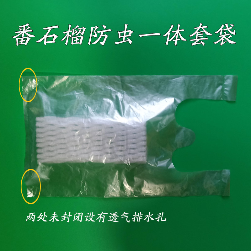 水果保护套网包番石榴芭乐网套袋防虫袋泡沫包装袋包裹袋