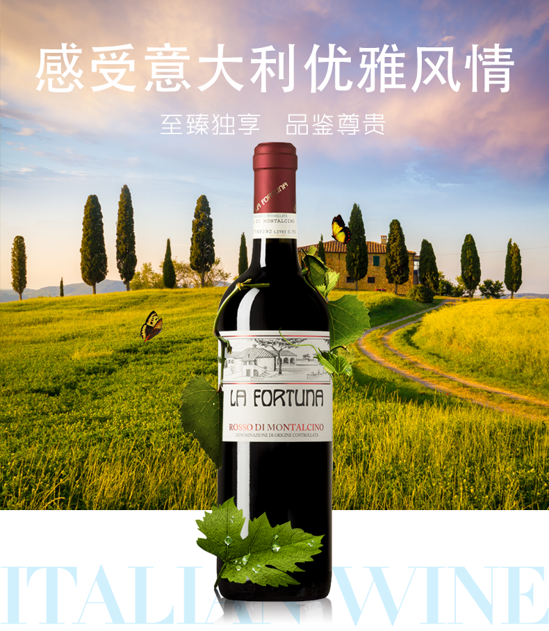意大利红酒原瓶进口rossodimontalcino蒙达奇诺红葡萄酒干红静态葡萄