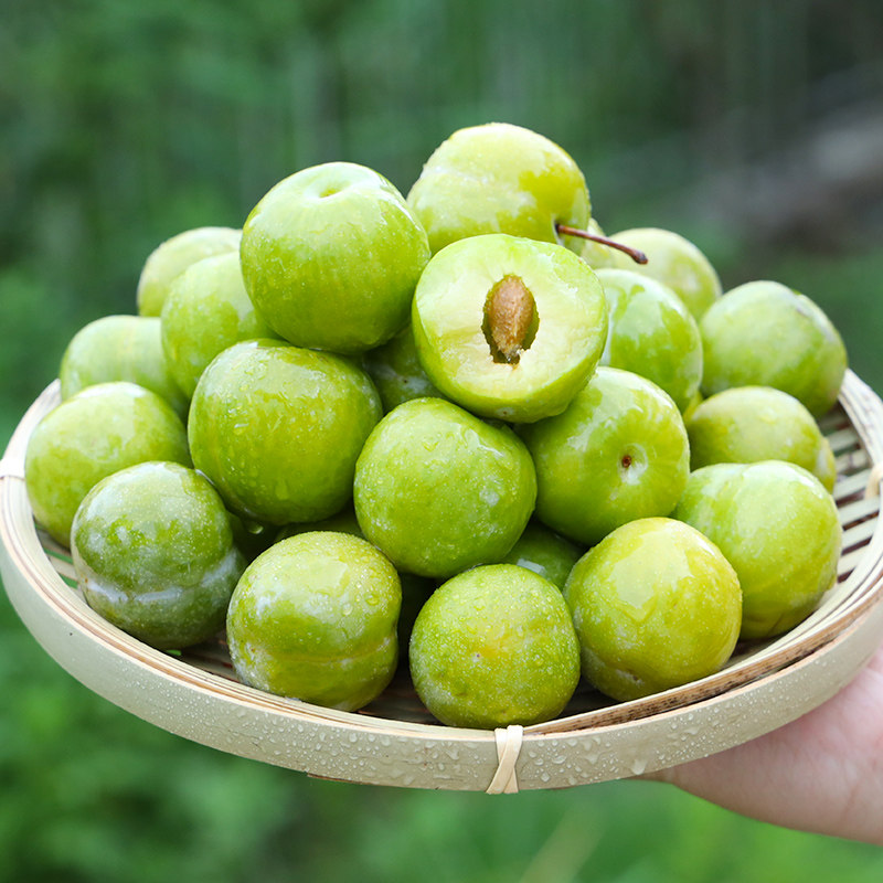 现发李四糖李子蜂李子蜂川土脱骨5斤脆李应季李子