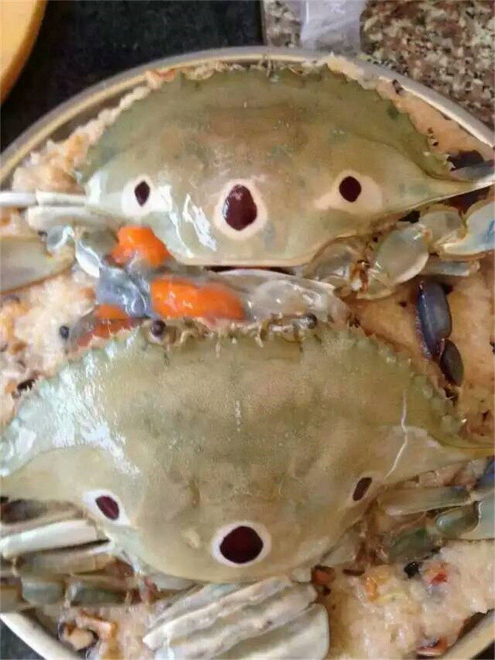 东山岛海鲜野生海捕三眼蟹新鲜母梭子蟹三点蟹 鲜活三目蟹红膏