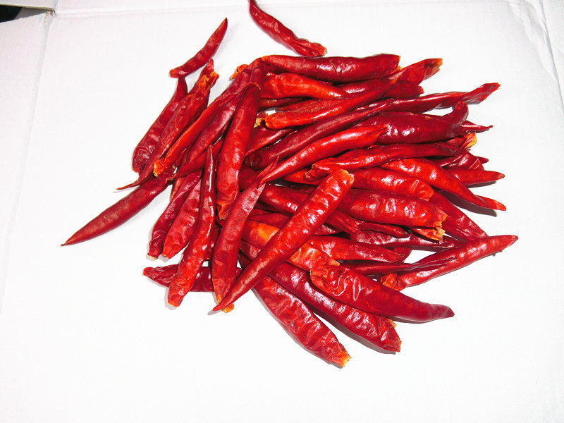 新货特产干货朝天红太阳超香微辣辣椒海椒干锅火锅辣椒粉料