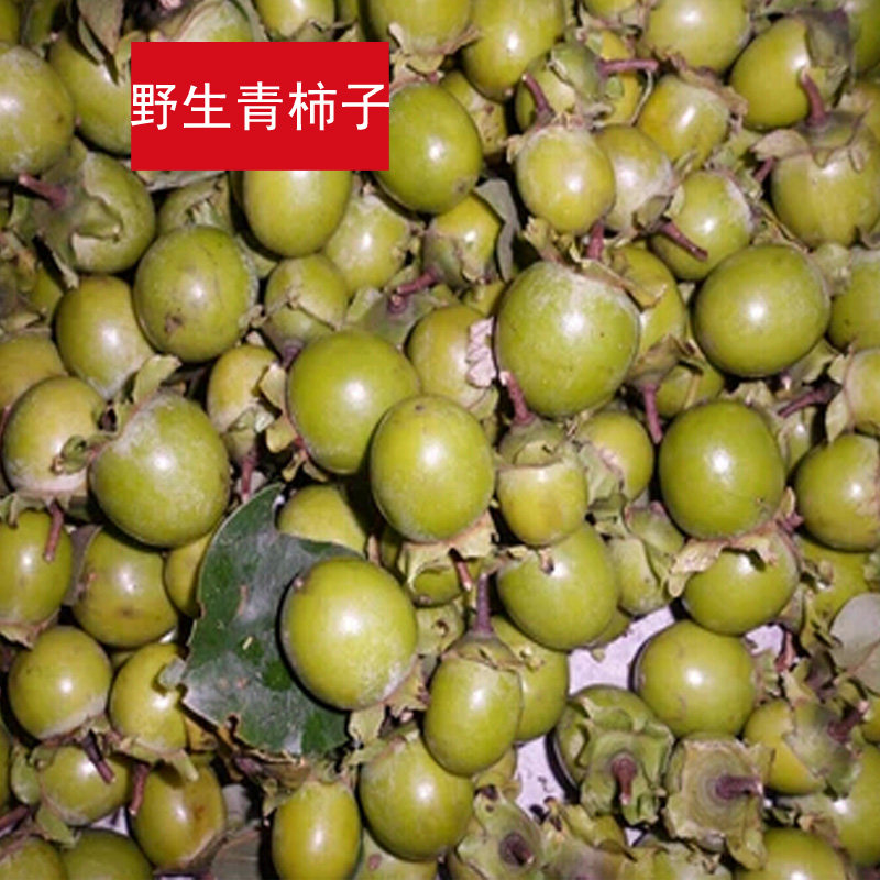 柿子5斤包邮野生泡酒纯野土方柿子