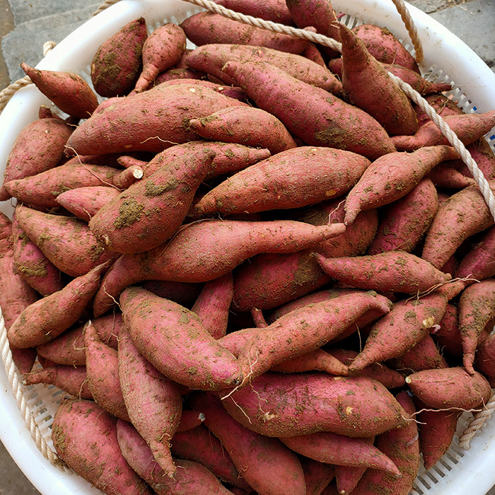番薯新鲜高州高山农家红皮白肉沙地薯粉地瓜番薯