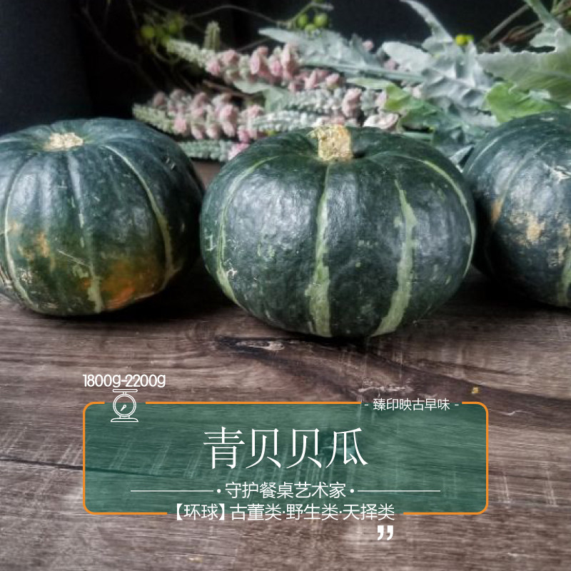 臻印青贝贝贝南瓜胜似野生超越有机天生天养南瓜
