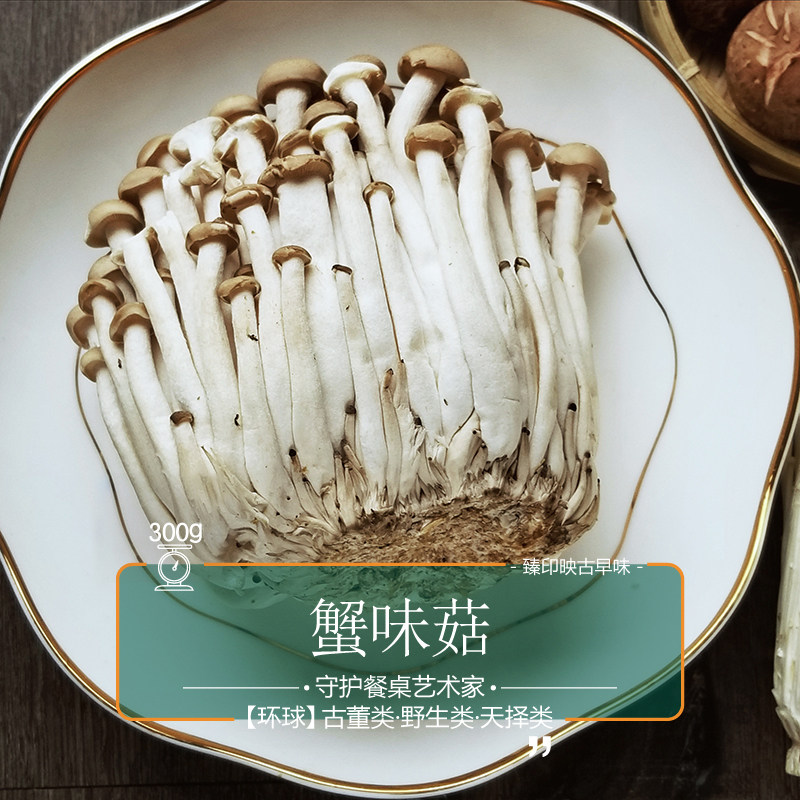 丰科鲜菇道火锅蘑菇 蟹味菇白玉菇双拼组合2斤绿色安全新鲜采摘