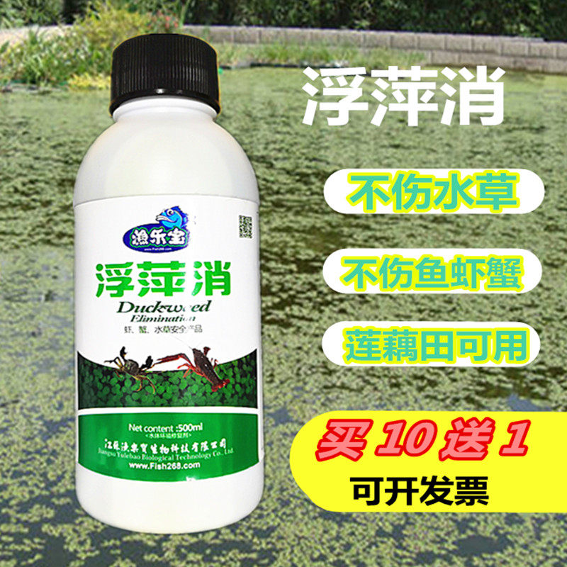 浮萍消不鱼虾水草莲藕稻田河道景观克星清理鱼缸水质稳定剂