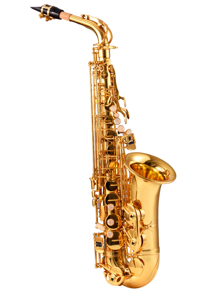 萨克斯乐器allison中音初学者入门考级管乐器西洋萨克斯风