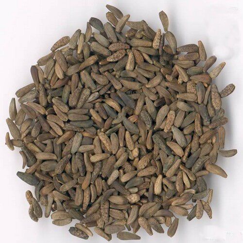 满1斤包邮中药材牛蒡子大力子牛蒡籽大力籽牛蒡子500克