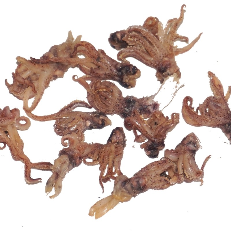 小号头干野生海兔子500g无沙乌贼乌头笔管鱼头墨鱼干