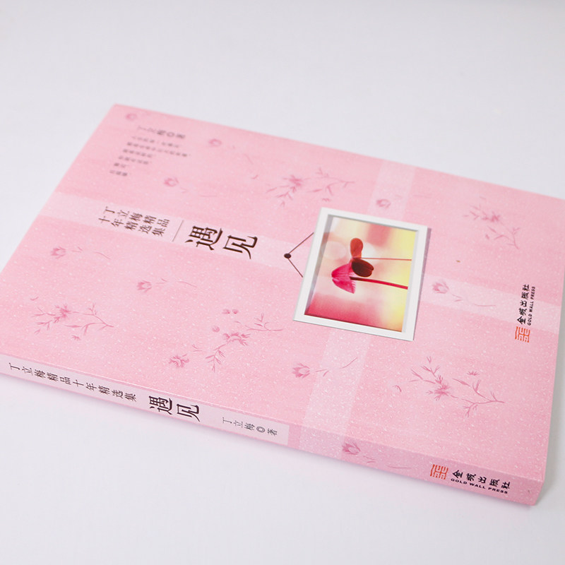 遇见 丁立梅精品十年精选集 丁立梅著现当代青春文学作品集散文集随笔