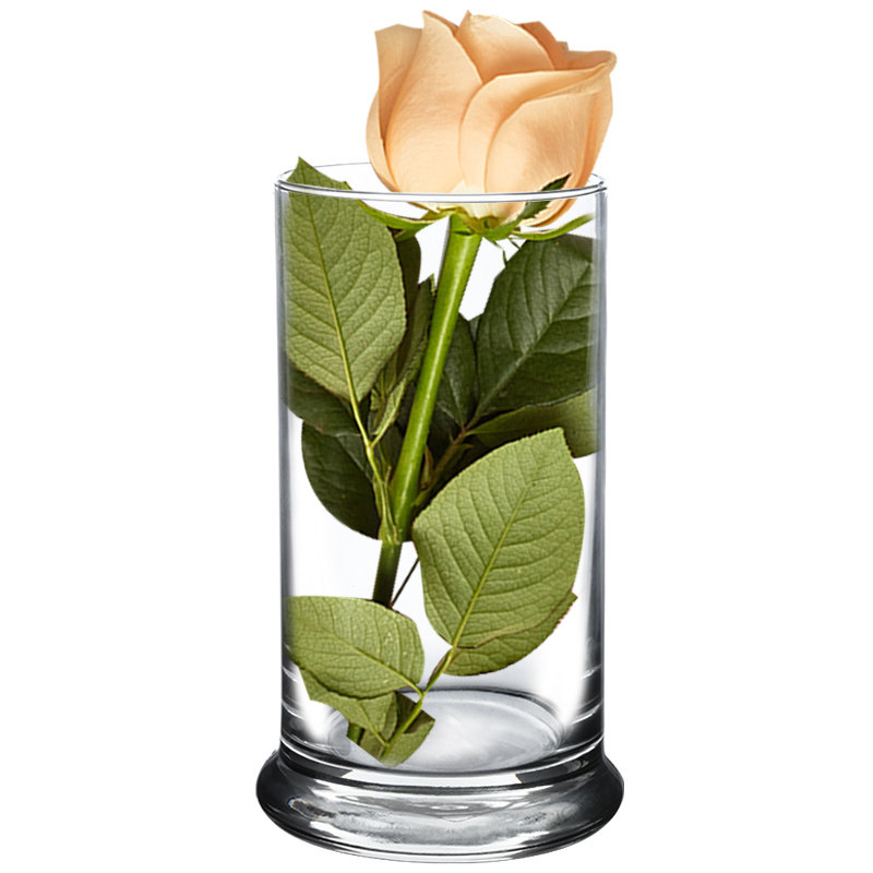 直营libbey利比玻璃花瓶摆件透明插花装饰摆设玻璃杯