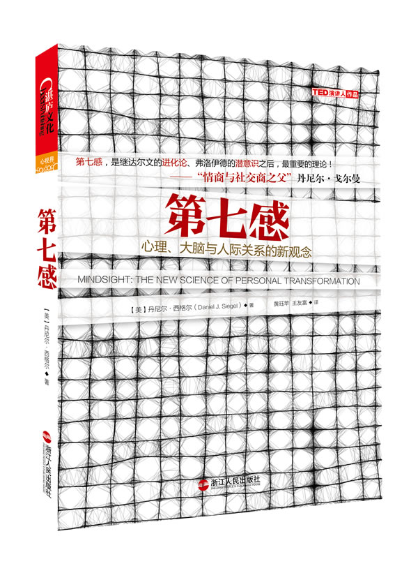 丹尼尔西格尔家庭教育正面管教育儿书籍教育孩子的书