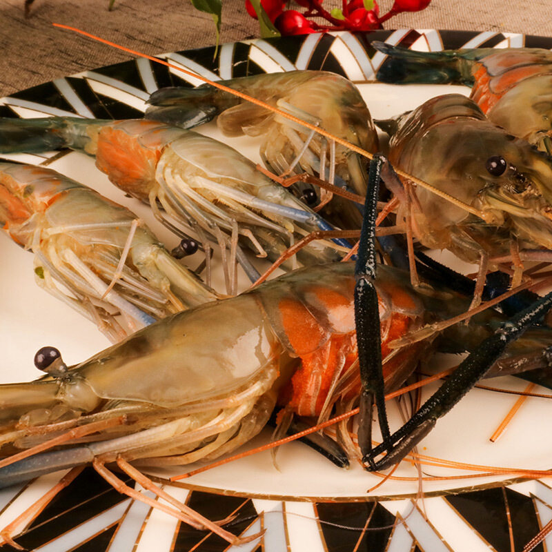 罗氏沼虾鲜活500g大头虾淡水活体长臂海鲜重庆活虾