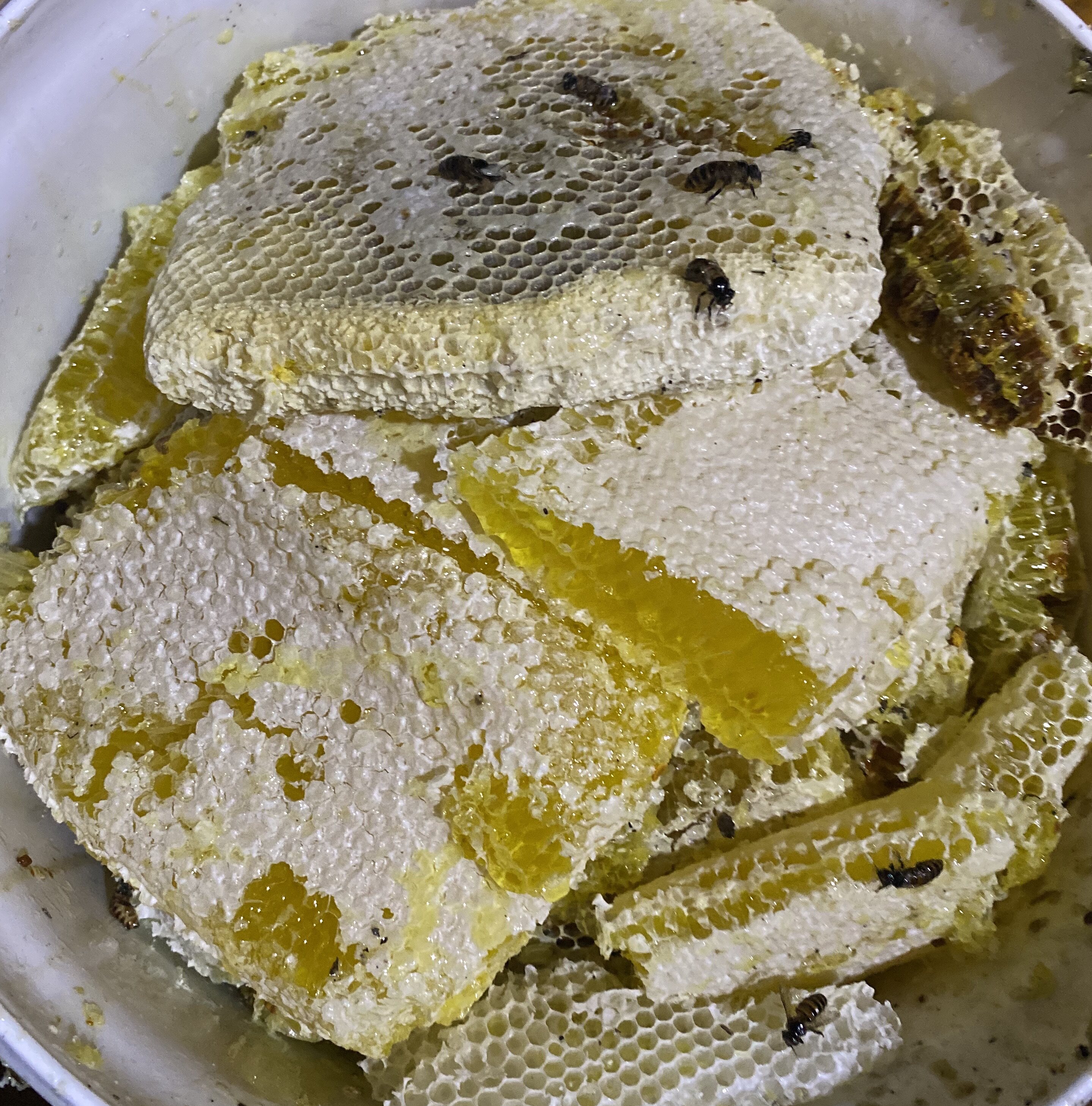 贵州大山农家中华蜂巢蜜纯蜂蜜土蜂自产自销百花蜂蜜