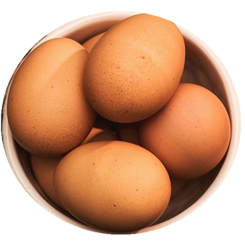 红壳鸡蛋30枚散装新鲜土笨营养孕妇新疆地产鸡蛋